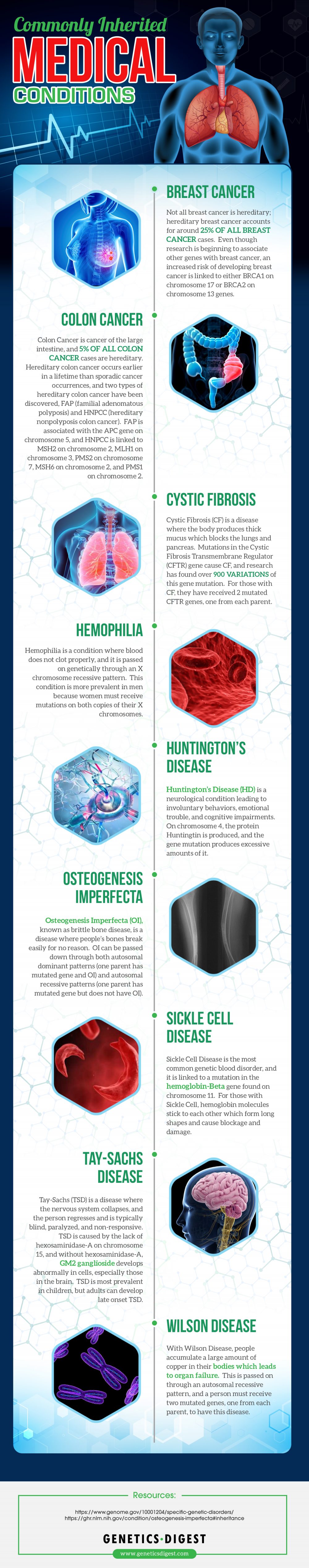 commonly-inherited-medical-conditions-genetics-digest